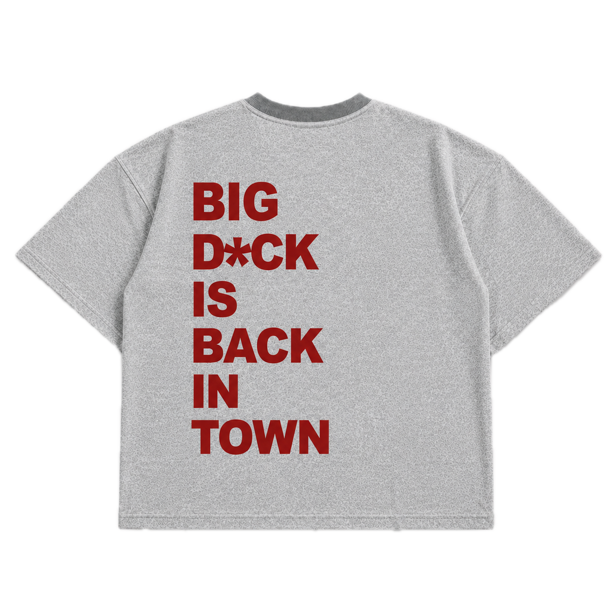 Big D*ck Is Back In Town — Gay Gray
